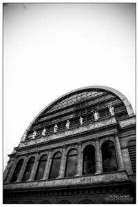 IMG_3533.JPG